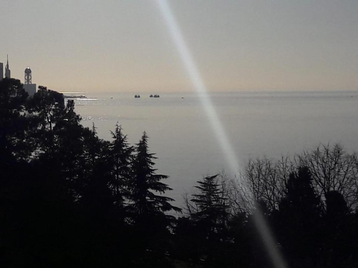 Mimino Lejlighedshotel Batumi Eksteriør billede